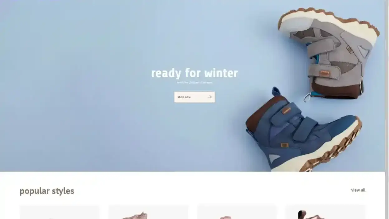 Screenshot of Non-Delivery scam website Bisgaardboots.com