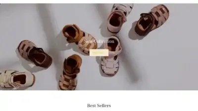 Screenshot of Non-Delivery scam website Bisgaardvip.com