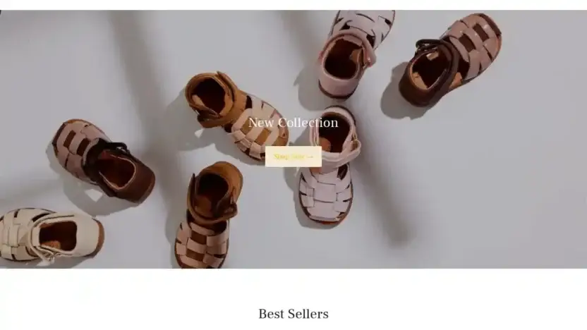 Screenshot of Non-Delivery scam website Bisgaardvip.com