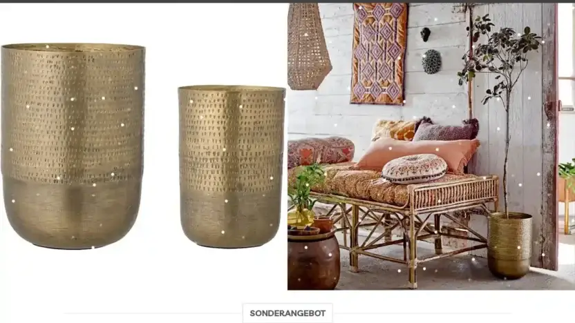 Screenshot of Non-Delivery scam website Bloomingvilleheim.com