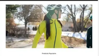 Screenshot of Non-Delivery scam website Blouinnicholas.com