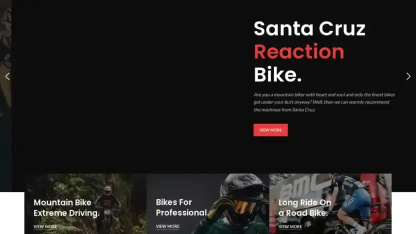 Screenshot of Sport scam website Bluelakebikes.com