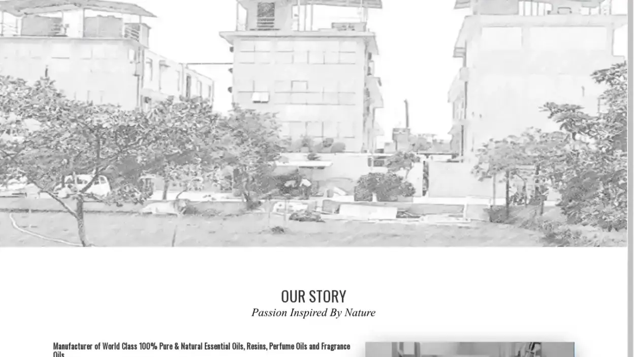 Screenshot of Non-Delivery scam website Bmvfragrances.com