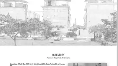 Screenshot of Non-Delivery scam website Bmvfragrances.com