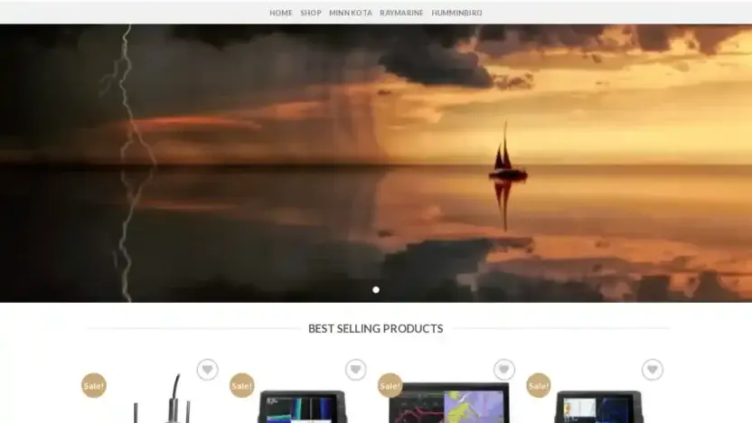 Screenshot of Non-Delivery scam website Boatworkssupply.com