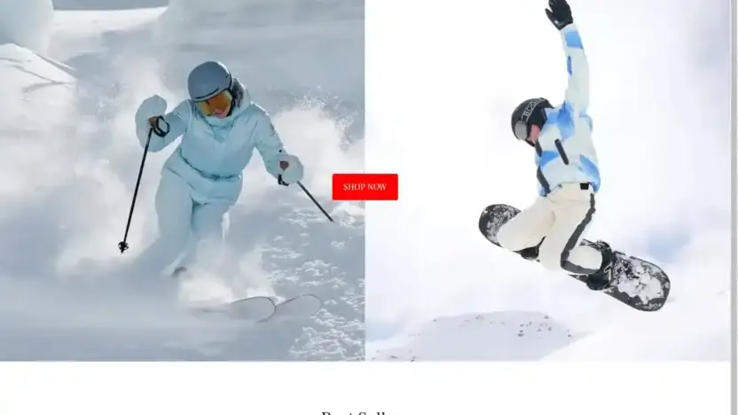 Screenshot of Non-Delivery scam website Bognervip.shop