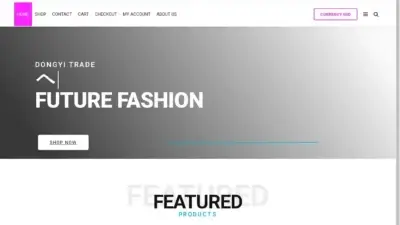 Screenshot of Non-Delivery scam website Boldstreetstyle.shop