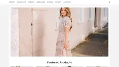 Screenshot of Non-Delivery scam website Boudraasamiha.com