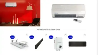 Screenshot of Non-Delivery scam website Boutiquereduit.com