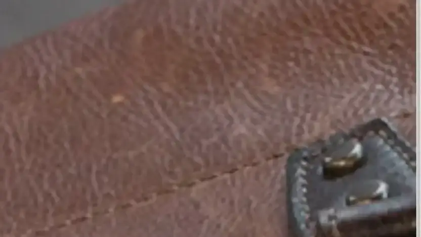 Screenshot of Non-Delivery scam website Boyan-luxury.store