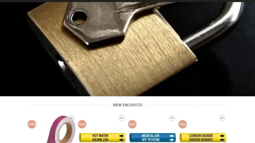 Screenshot of Sport scam website Bradyplaza.com