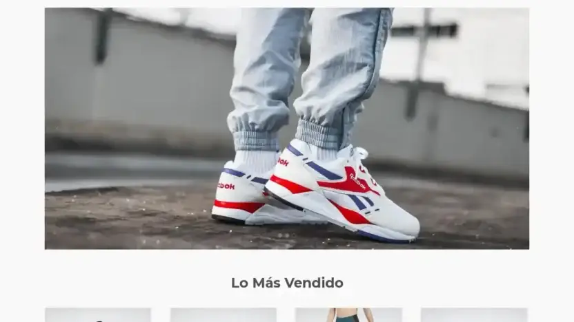 Screenshot of Non-Delivery scam website Brendavalosa.com