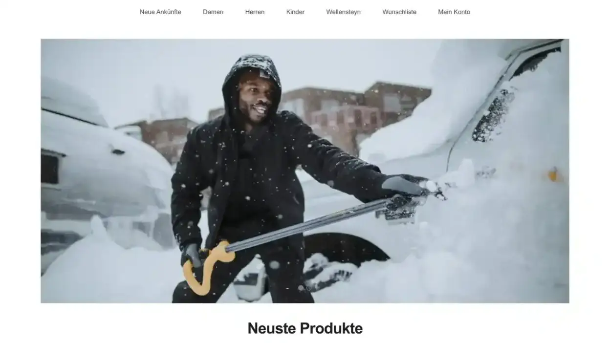 Screenshot of Non-Delivery scam website Bryanbumgardner.com