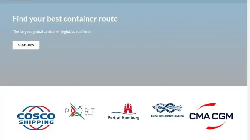 Screenshot of Container scam website Btlcontainers.com