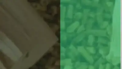 Screenshot of Non-Delivery scam website Bulk-woodpellets.com