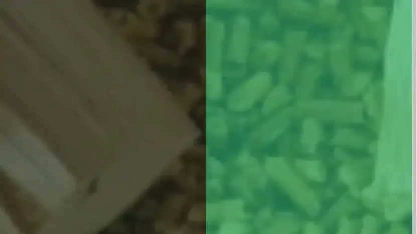 Screenshot of Non-Delivery scam website Bulk-woodpellets.com