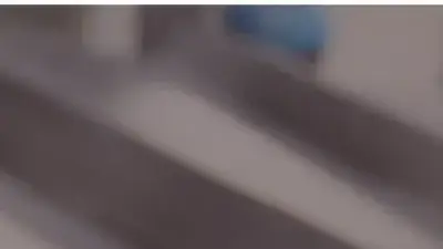 Screenshot of Commodity scam website Bulkmeatexporters.com