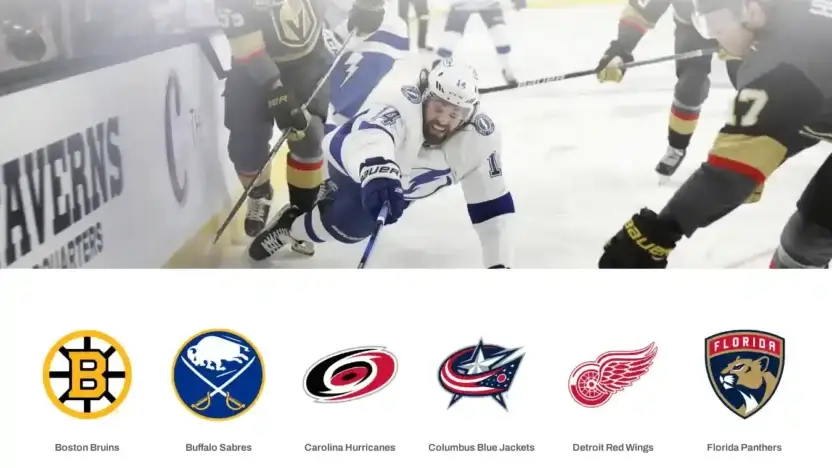 Screenshot of Non-Delivery scam website Buynhl.net