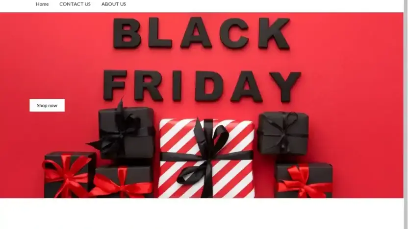 Screenshot of Non-Delivery scam website Byran.shop