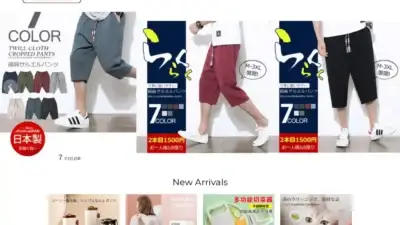 Screenshot of Non-Delivery scam website Bysdnas.com