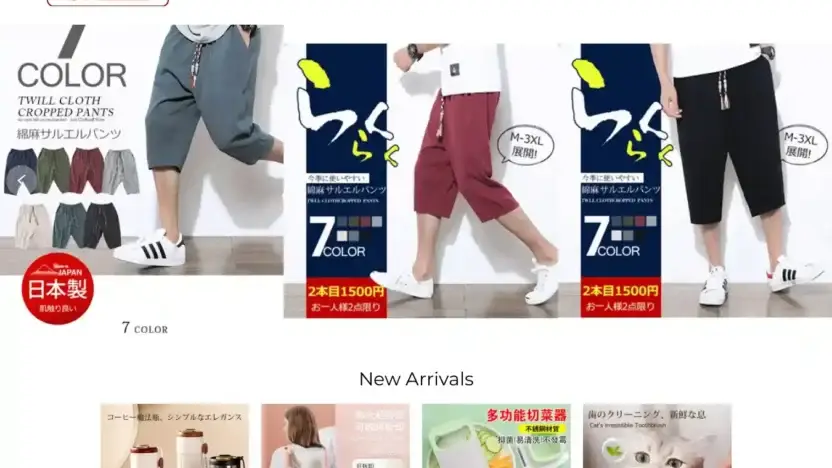 Screenshot of Non-Delivery scam website Bysdnas.com