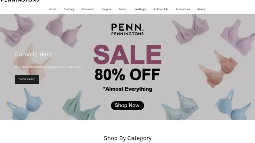 Screenshot of Non-Delivery scam website Caclothing.vip