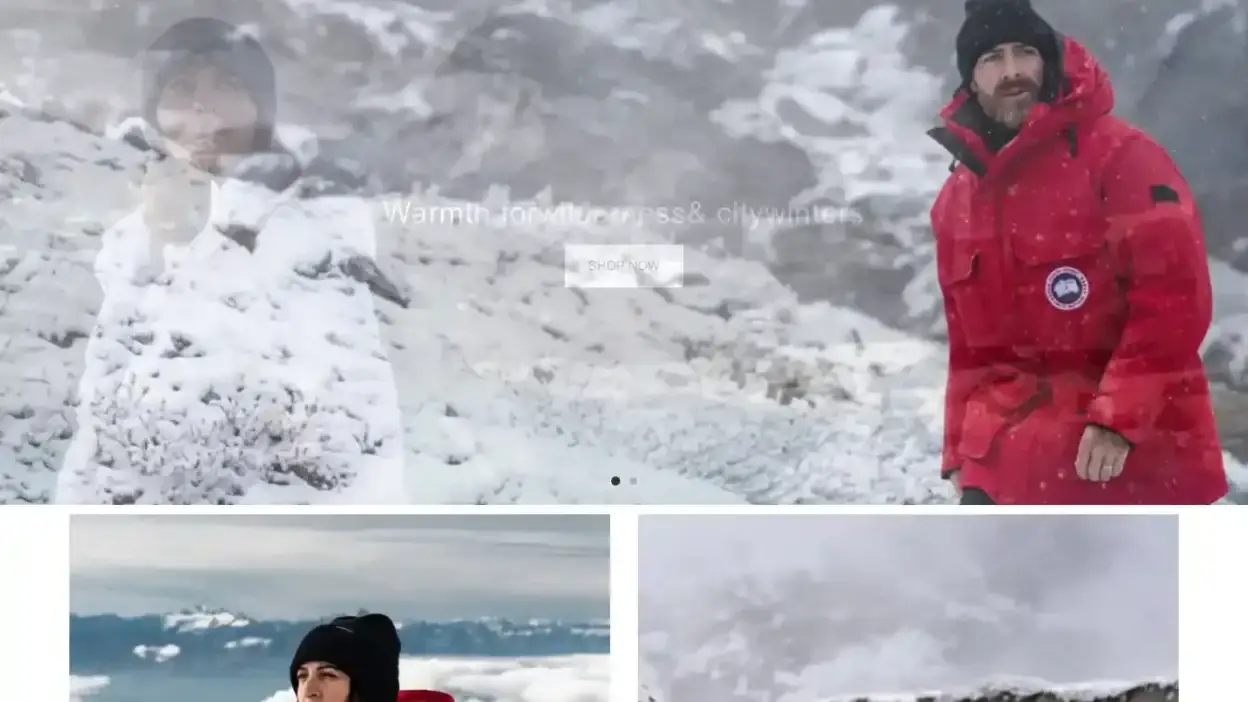 Screenshot of Non-Delivery scam website Canadagoos.shop