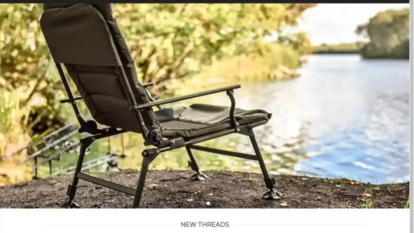 Screenshot of Non-Delivery scam website Carpsale.com