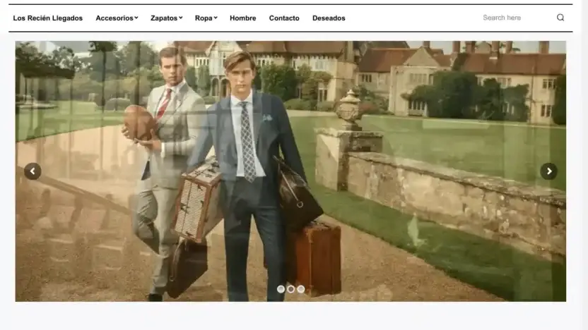 Screenshot of Non-Delivery scam website Casitadeirene.com