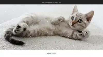 Screenshot of Non-Delivery scam website Catcommon.com