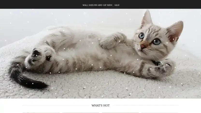 Screenshot of Non-Delivery scam website Catcommon.com