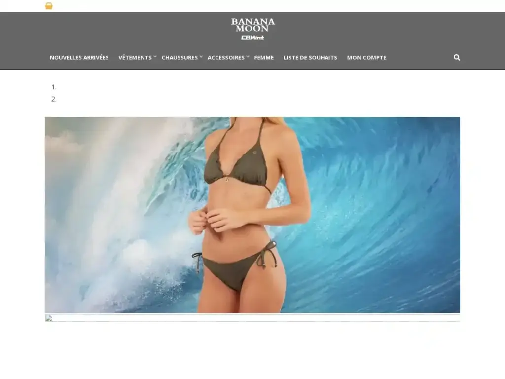 cbmint-org Alternative Text