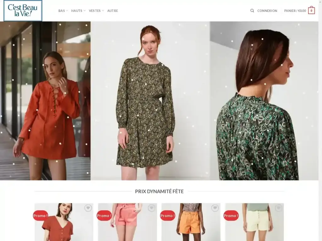 cestbeaulaviefemme-com Alternative Text