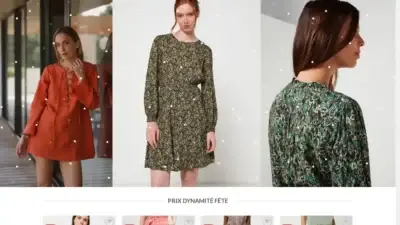 Screenshot of Non-Delivery scam website Cestbeaulaviefemme.com