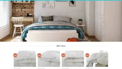 Screenshot of Non-Delivery scam website Characterfulhome.com