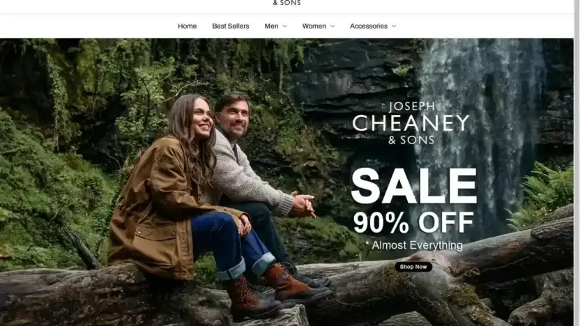 Screenshot of Non-Delivery scam website Cheaneyfactory.shop