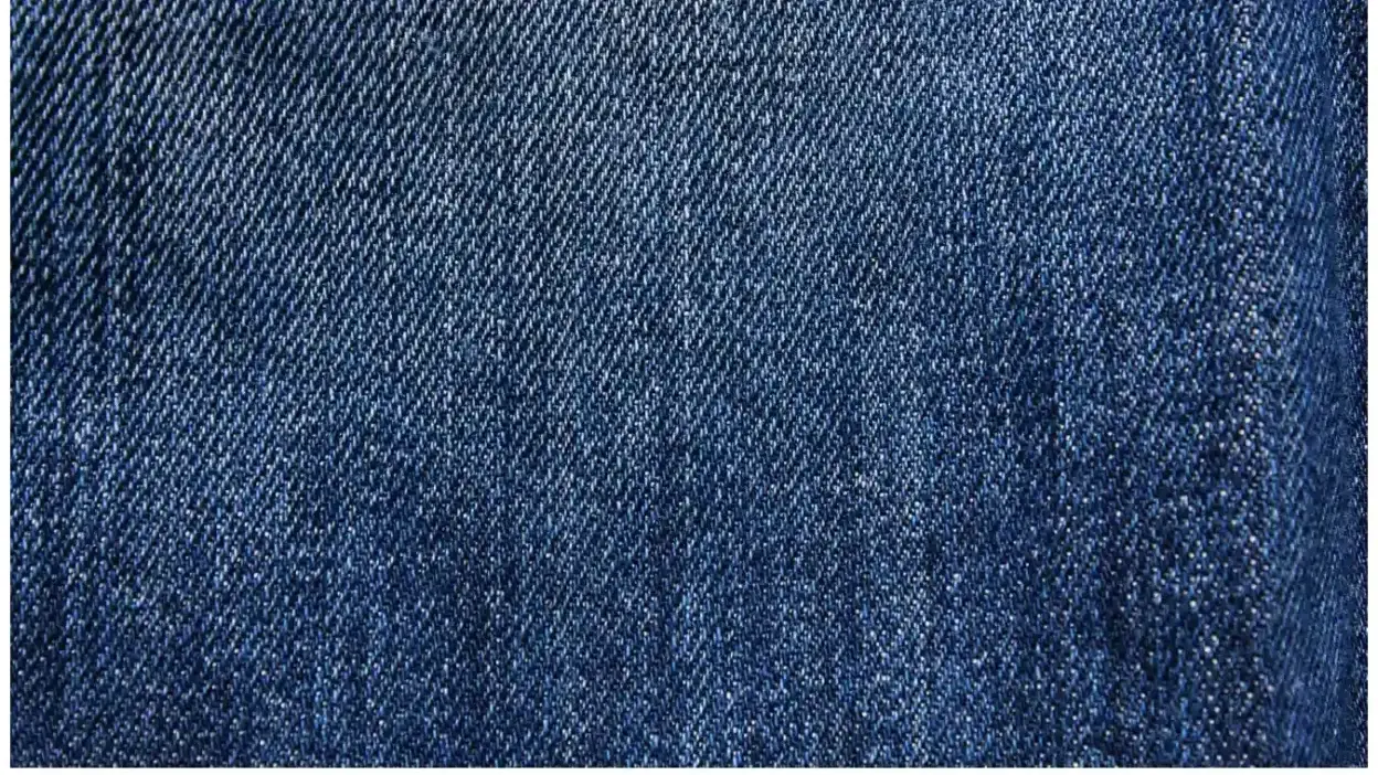 Screenshot of Non-Delivery scam website Chicapparelsupply.com