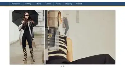 Screenshot of Non-Delivery scam website Chorrapipol.com