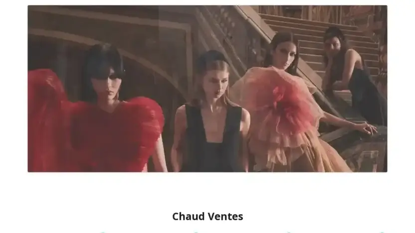 Screenshot of Non-Delivery scam website Christinczaak.com