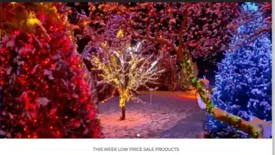 Screenshot of Non-Delivery scam website Christmaspremier.com