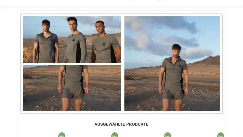 Screenshot of Non-Delivery scam website Christmastrees-or.com