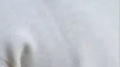 Screenshot of Non-Delivery scam website Ciealsren.shop