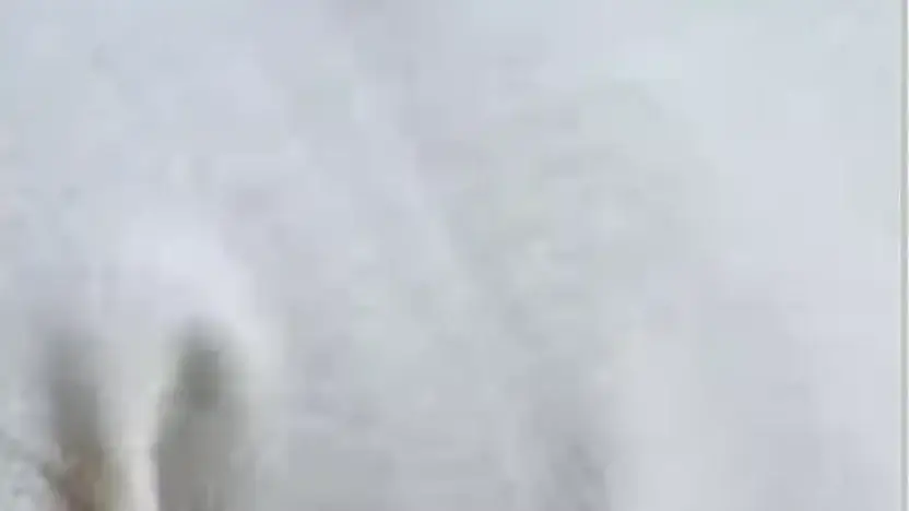 Screenshot of Non-Delivery scam website Ciealsren.shop