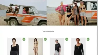 Screenshot of Non-Delivery scam website Cilingirpendik.com