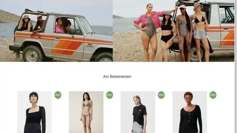 Screenshot of Non-Delivery scam website Cilingirpendik.com