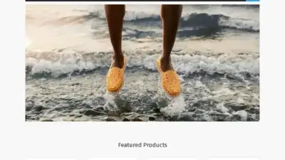 Screenshot of Non-Delivery scam website Cindystenglein.com