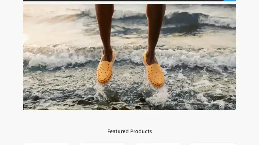 Screenshot of Non-Delivery scam website Cindystenglein.com