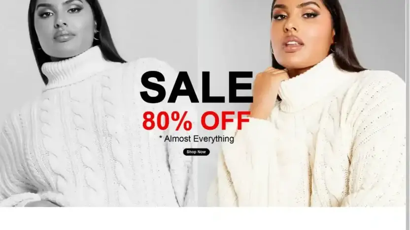 Screenshot of Non-Delivery scam website City-chicofficial.shop