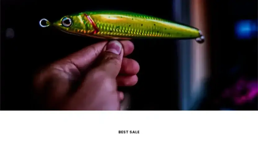 Screenshot of Sport scam website Clearancefish.com