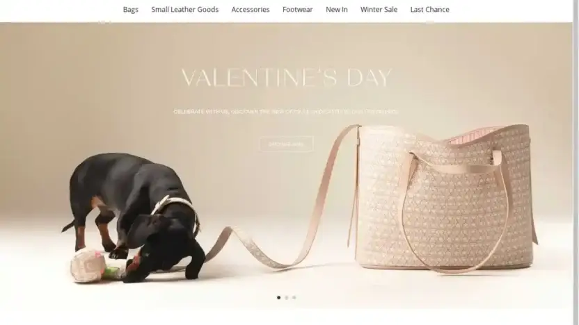 Screenshot of Non-Delivery scam website Coccinelleeu.shop